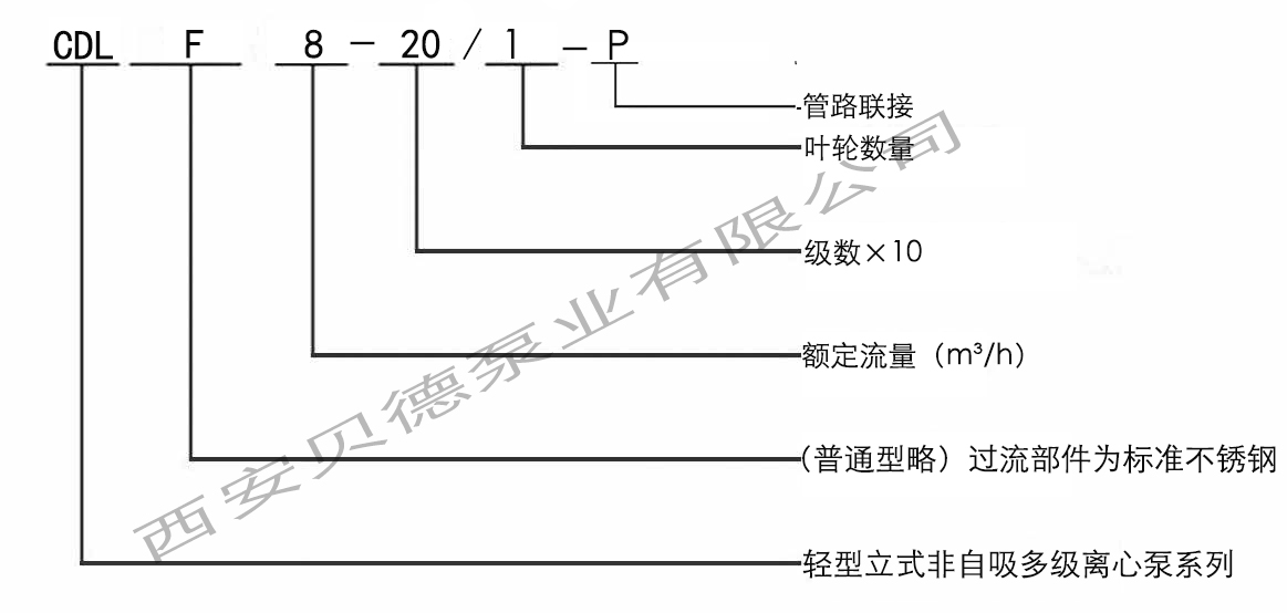 CDL/CDLF輕型多級離心泵